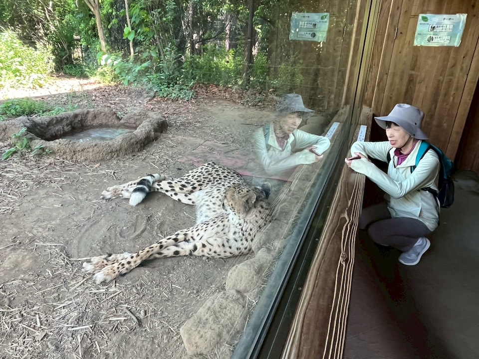 knk_post_大人になったからこそ動物園_02